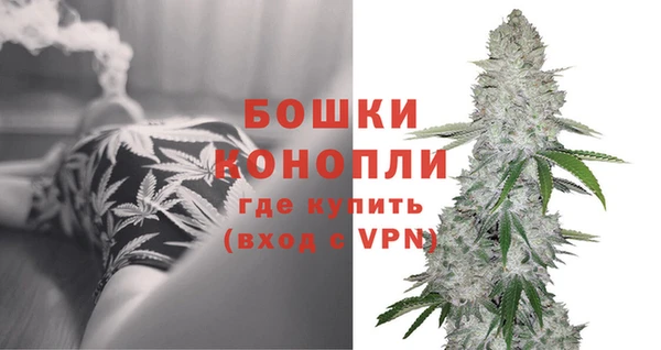 PSILOCYBIN Лиски