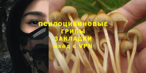 прущие грибы Лихославль