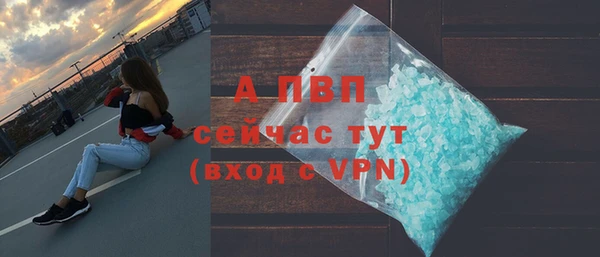 прущие грибы Лихославль