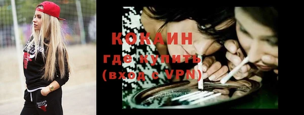 стафф Ладушкин