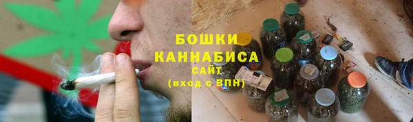 PSILOCYBIN Лиски