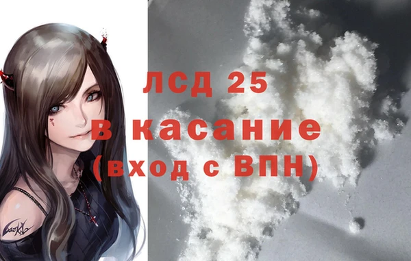 амф Липки