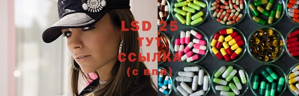 PSILOCYBIN Лиски