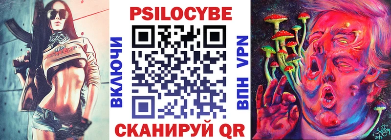 Купить где  Мариинский Посад  Галлюциногенные грибы Psilocybe 